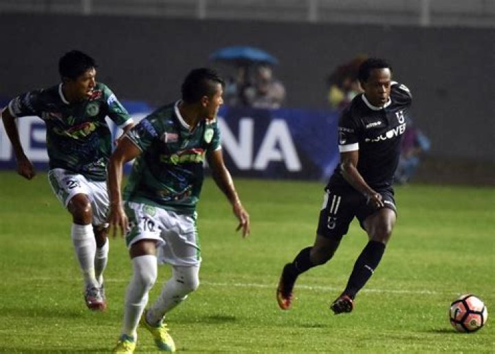 Aldo Gallardo Net Worth - Wiki, Age, Weight and Height, Relationships, Family, and More