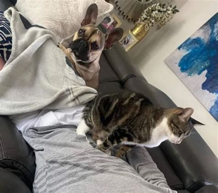 Alexis Bellino Pets - Celebrity Pets