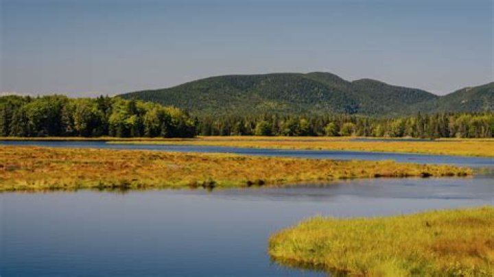 Bar Harbor Maine Shore Excursions & Excursion Tours