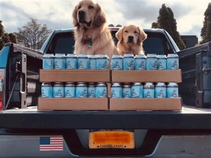Beer Delivery By Brew Dogs by Six Harbors Brewing Company