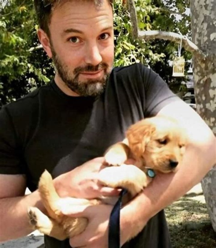 Ben Affleck Pets - Celebrity Pets