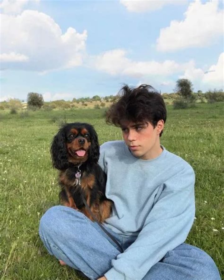 Benji Krol Pets - Celebrity Pets