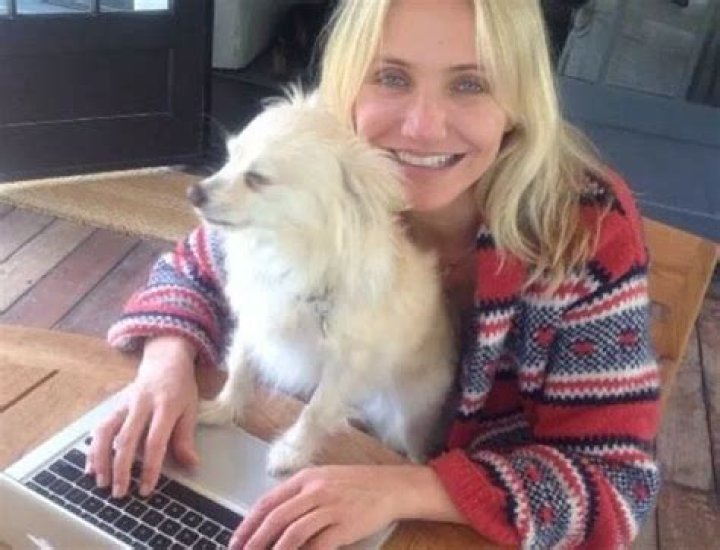 Cameron Diaz Pets - Celebrity Pets