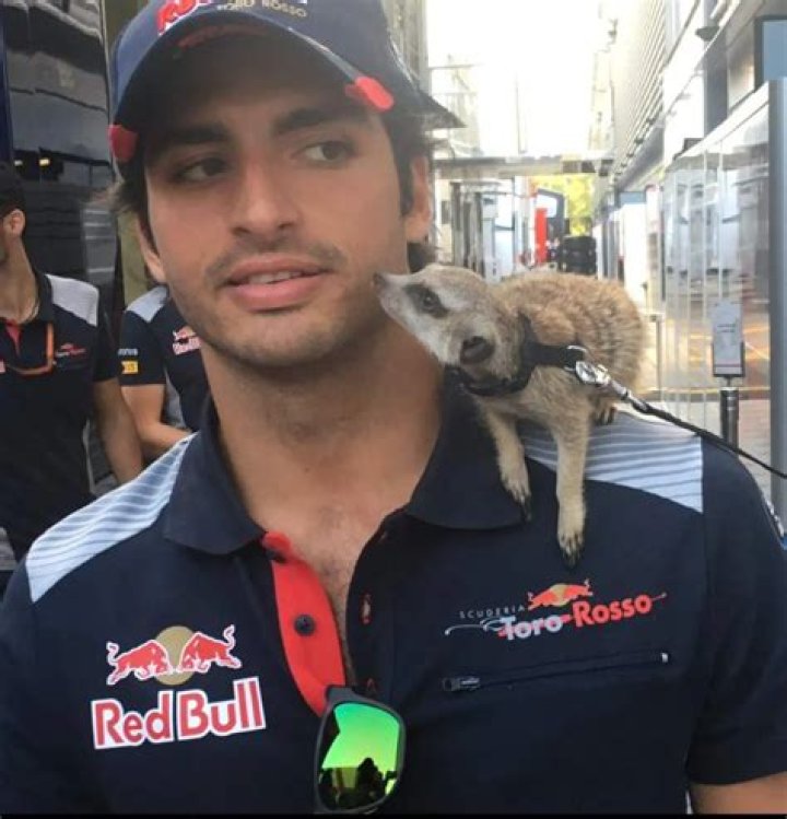 Carlos Sainz Jr. Pets - Celebrity Pets