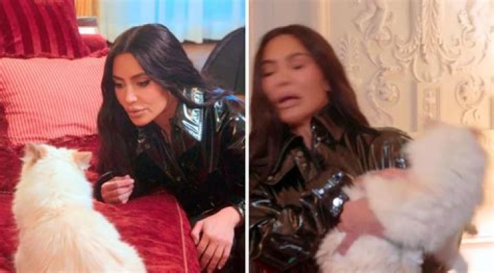Celebrity Cat Fight: Kim Kardashian Attacked by Karl Lagerfeld’s Kitty Choupette