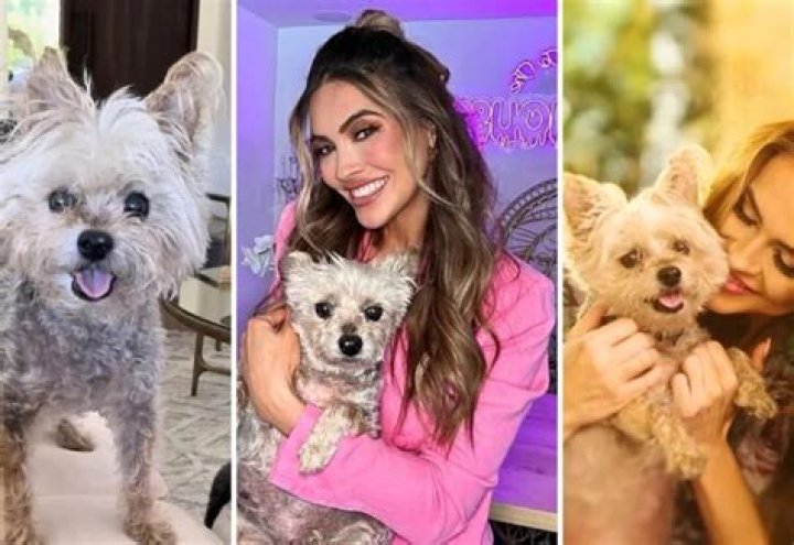 Celebrity Pets | Famous Fur Babies, Pet Influencers, Remarkable Rescues, and More!