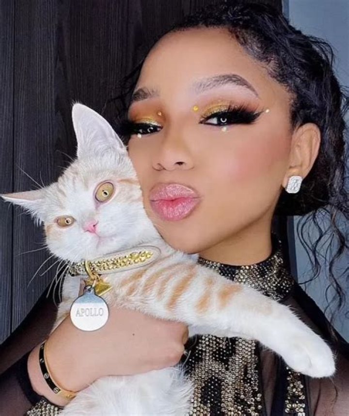 Chloe Bailey Pets - Celebrity Pets