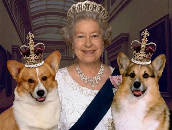 Corgi’s replace actors on The Crown and it’s🔥
