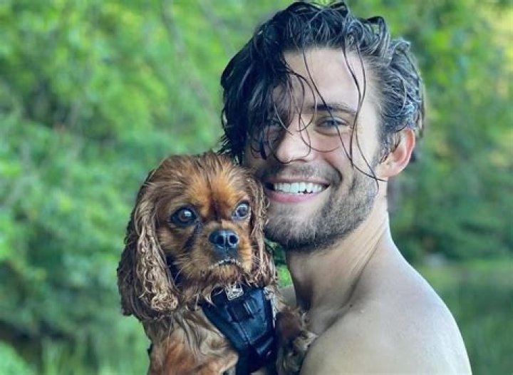 David Corenswet Pets - Celebrity Pets