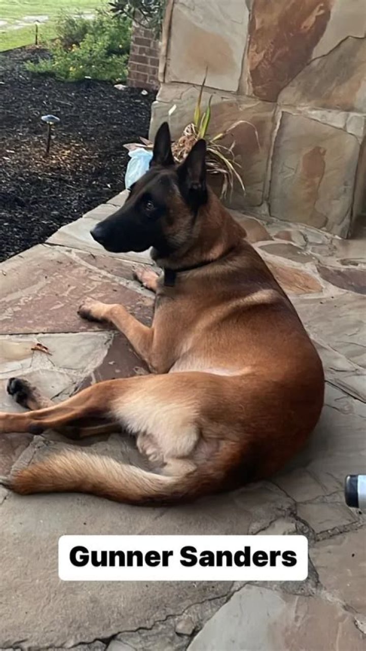 Deion Sanders Pets - Celebrity Pets