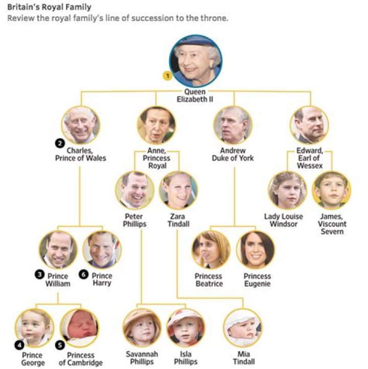 Elizabeth Holmes – Family, Family Tree