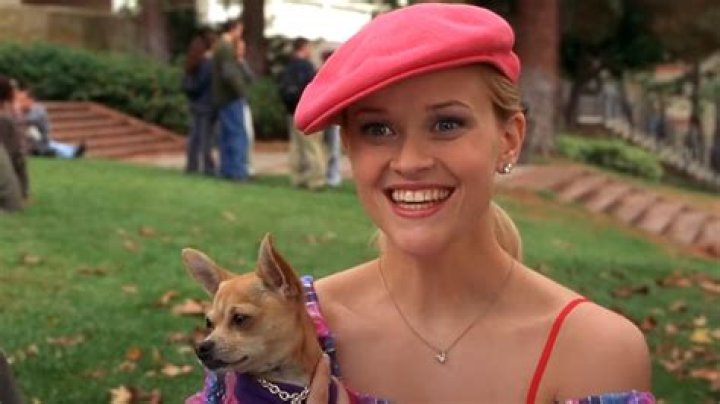Five Movies That Have Been Produced by Reese Witherspoon