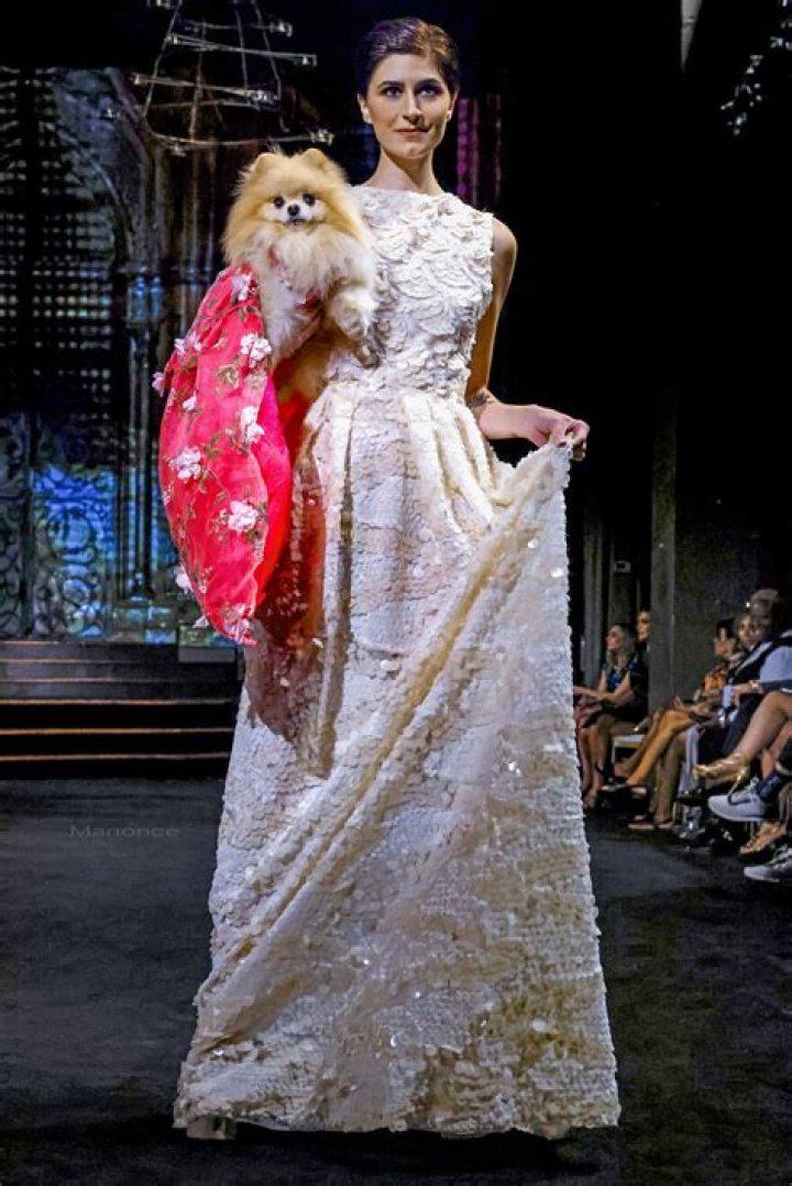 Forget New York’s 2017 Fashion Week. The 14th NY Pet Fashion Show is Much More Adorable and Amazing