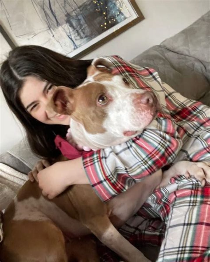 Gabriella Pizzolo Pets - Celebrity Pets