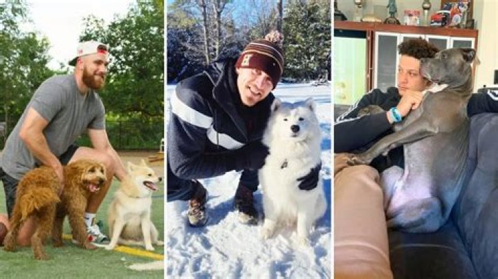 Goldie Hawn and Kurt Russell’s Labrador Starred in Budweiser’s 2024 Super Bowl Commercial, ‘Old-School Delivery’