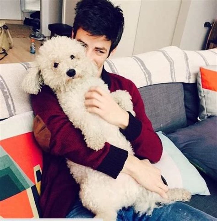 Grant Gustin Pets - Celebrity Pets