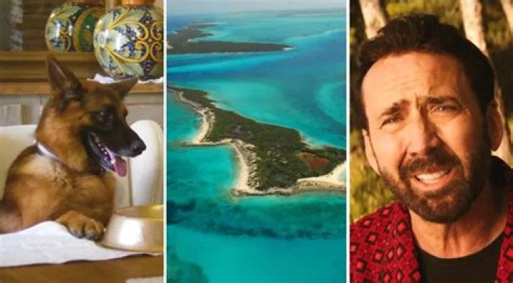 Gunther VI, World’s Richest Dog, Buys Nicolas Cage’s Private Island in the Bahamas
