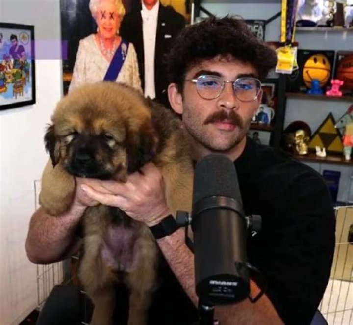 HasanAbi (Hasan Piker) Pets - Celebrity Pets