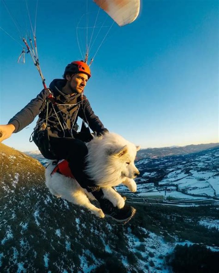 Hero Accountant Runs a Pet and Dog Retirement Home for “Unadoptables”