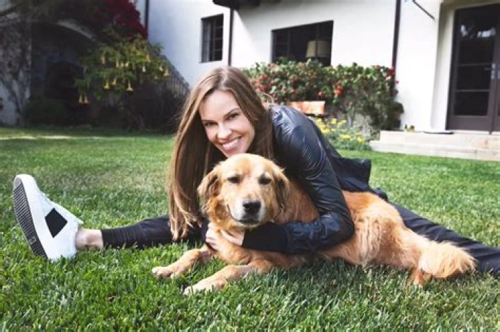 Hilary Swank Pets - Celebrity Pets