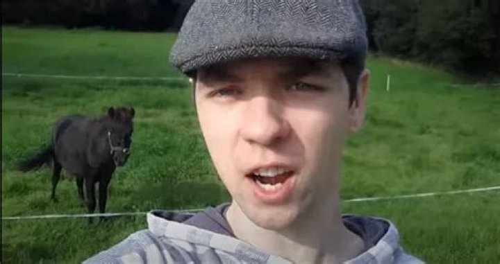 Jacksepticeye (Seán McLoughlin) Pets - Celebrity Pets