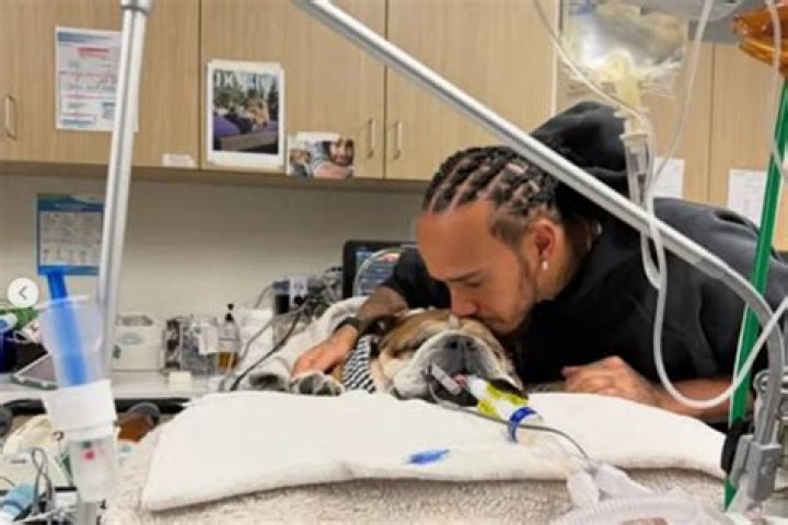 Jenelle Evans Shares Heartbreaking Update About Kaiser