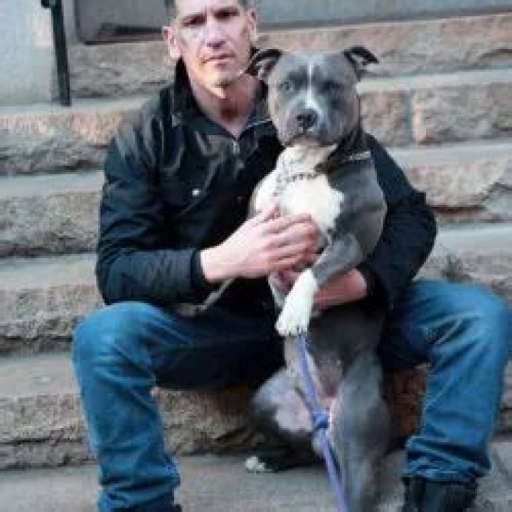 Jon Bernthal Pets - Celebrity Pets