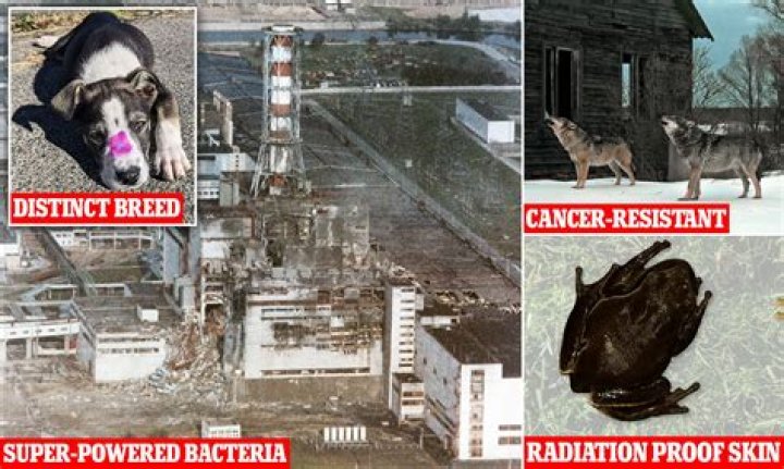 Kailyn Lowry Under Fire For Mistreatment of Animals After Latest Upsetting Post