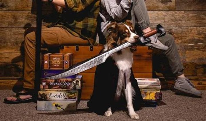 Lady Pinto Bean – The Reign of the Dungeon & Dragons Doggo