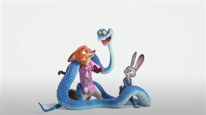 Lil Bub the ‘mysterious alien woman’ Raises over $300,000 for ASPCA