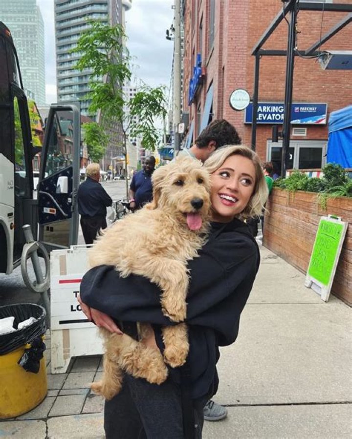 Lizze Broadway Pets - Celebrity Pets