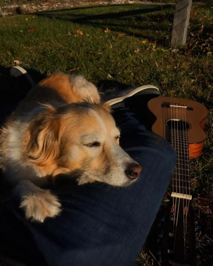 Maple the acoustic guitar-loving dog teaches you how to chill
