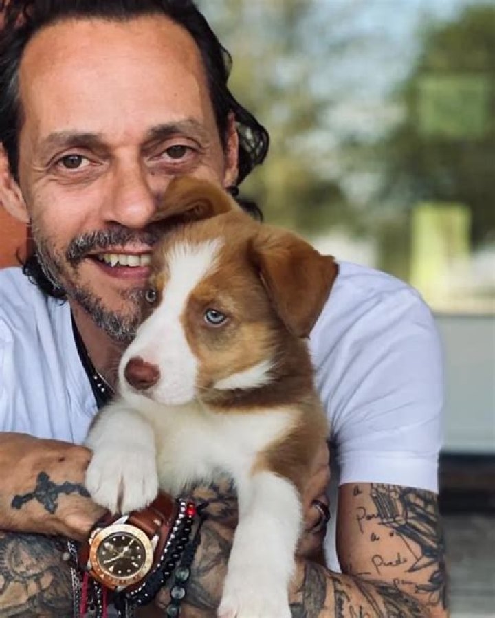 Marc Anthony Pets - Celebrity Pets