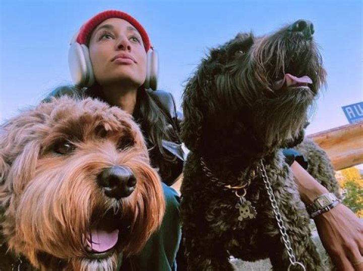 Meaghan Rath Pets - Celebrity Pets