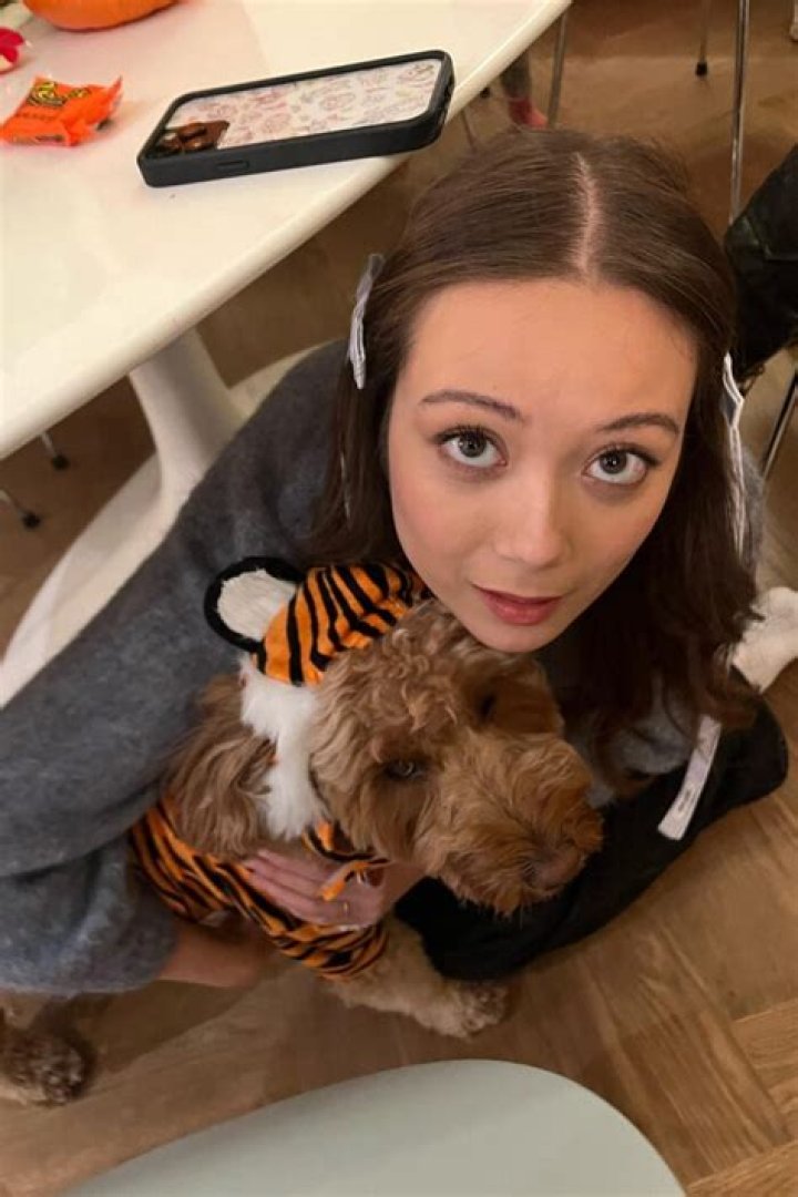 Meet the Prairee Dog Pack Bing, Swarley, Monty, and, Enzo