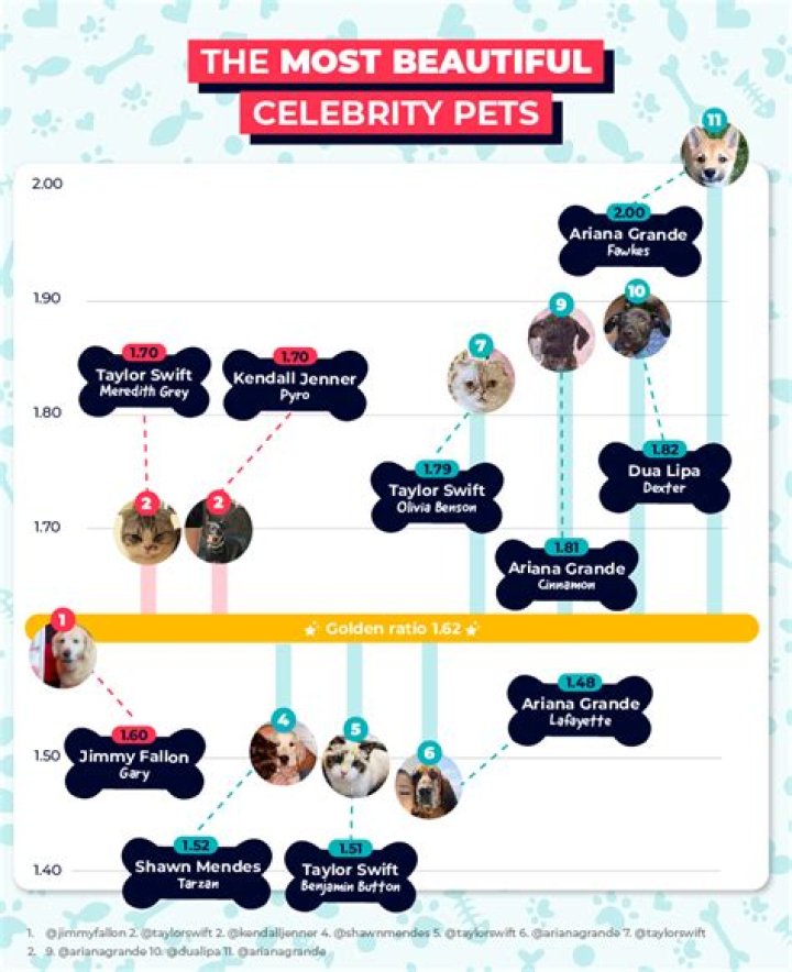 Momona Tamada Pets - Celebrity Pets