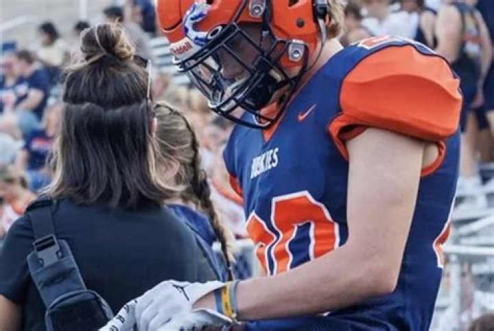 Naperville North High School Sean Van Dinther Suicide Linked To Death: Obituary