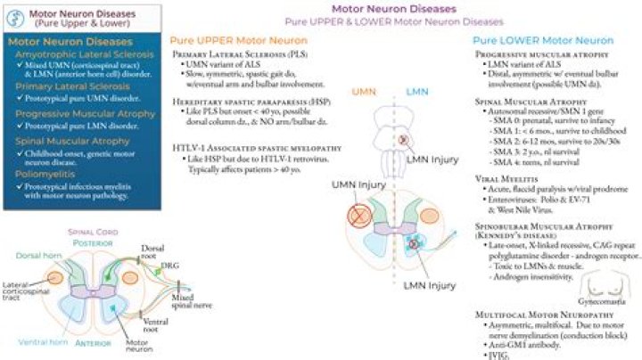Nicholas Dimbleby Illness Motor Neuron Disease And Health Condition 2023