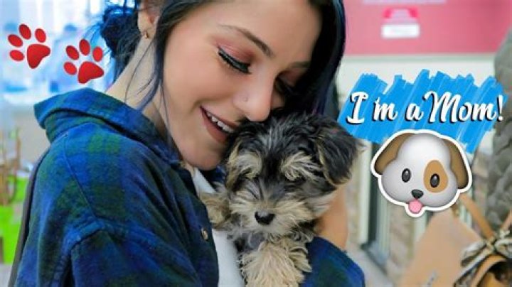 Niki DeMar Pets - Celebrity Pets