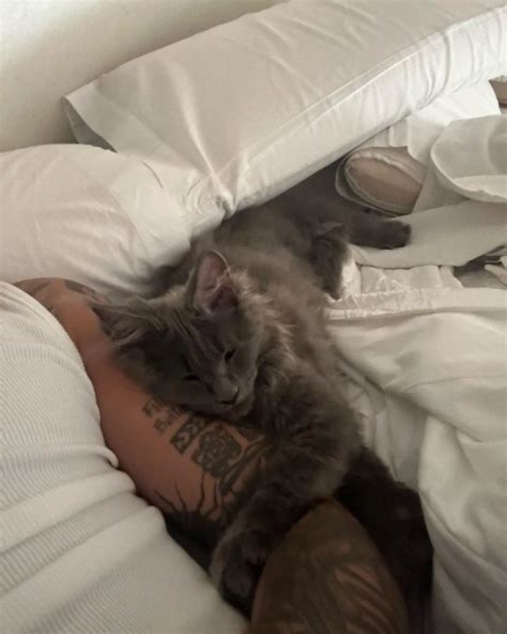 Rauw Alejandro Pets - Celebrity Pets