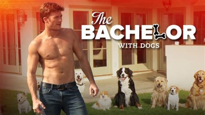 Scott Eastwood The Funny or Die Bachelor for Dogs