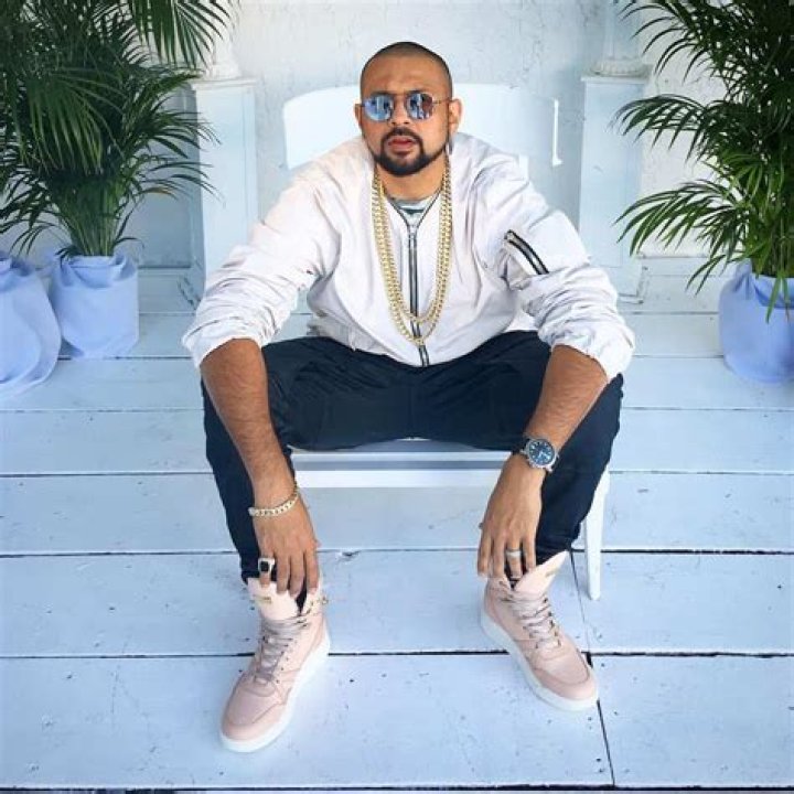 Sean Paul Net Worth: Music & Income