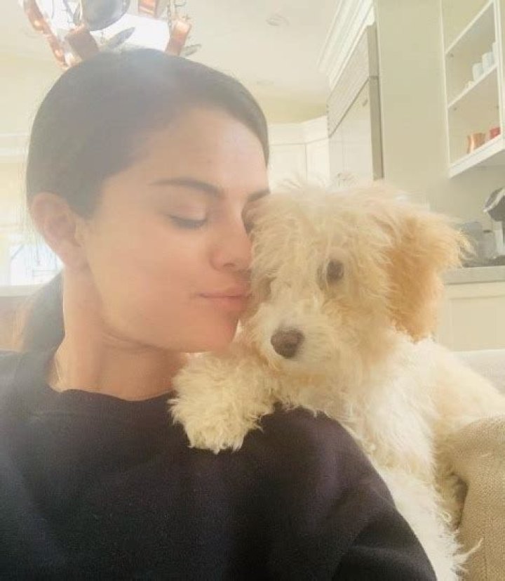 Selena Gomez Pets - Celebrity Pets