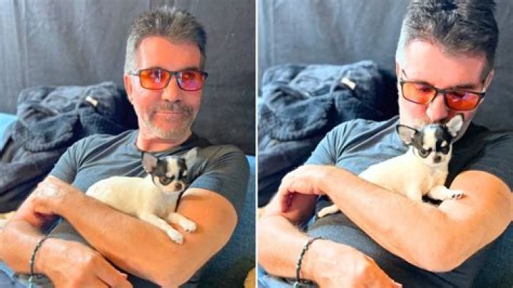 Simon Cowell Reveals His Sixth Dog (Just Two Months After His Last Adoption)