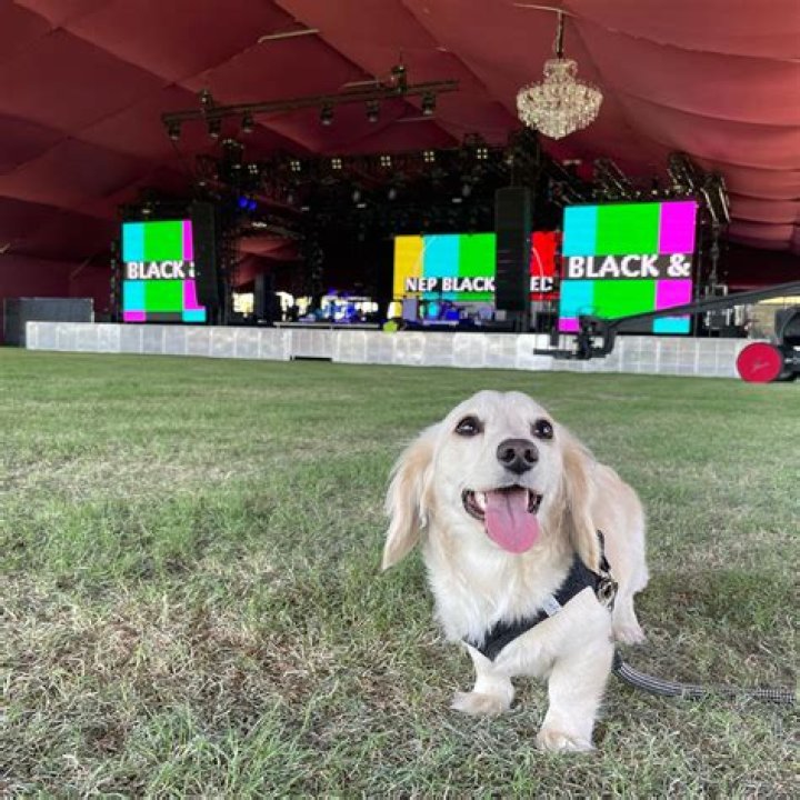 Skyler Gisondo Pets - Celebrity Pets