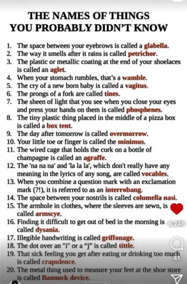 Something You Probably Didn’t Know about Lindsey Cardinale