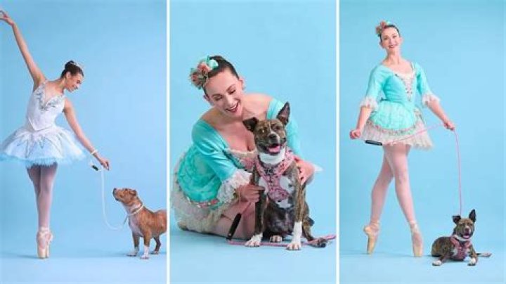 The ‘Muttcracker’ by Dancers & Dogs and the St. Louis Ballet Has Found Over 100 Dogs Their Forever Homes