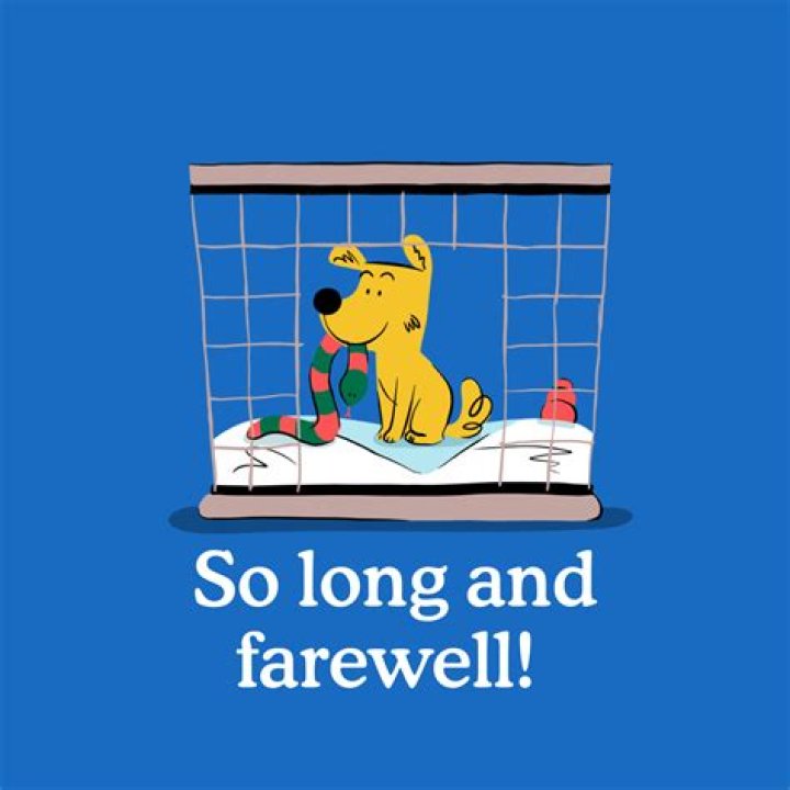 This Dog Figured Out How To Buy Treats On His Own