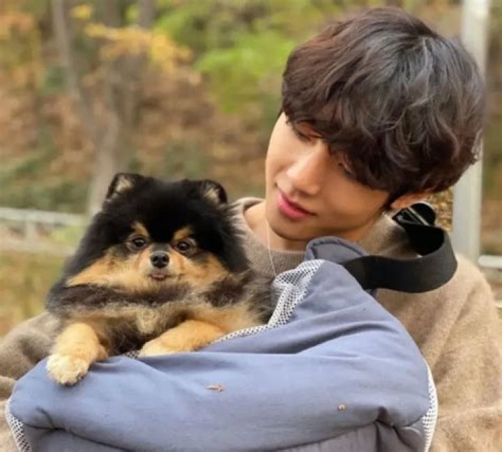 V (Kim Tae-hyung) Pets - Celebrity Pets