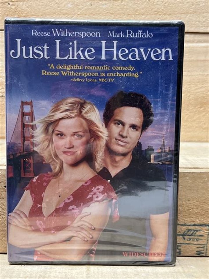 What is Just Like Heaven starring Reese Witherspoon about on Netflix?